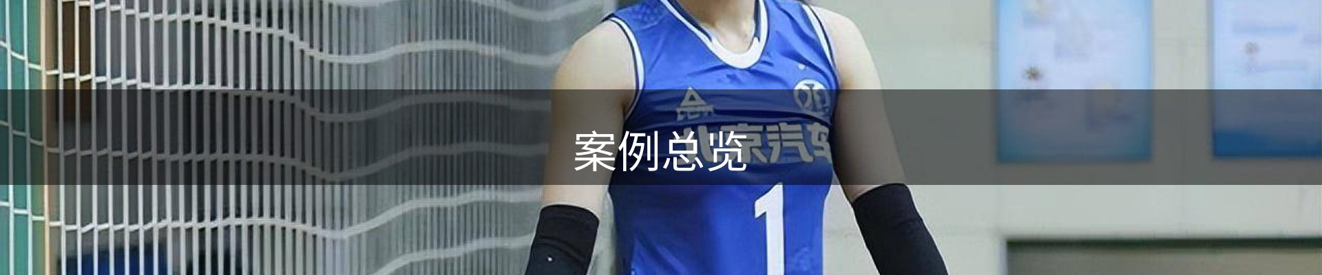 案例总览